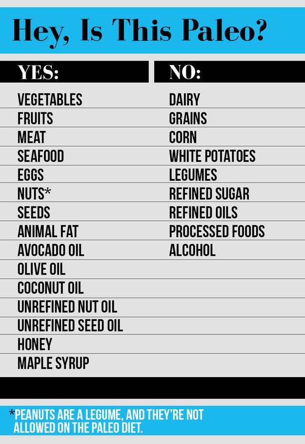 paleo diet infographic