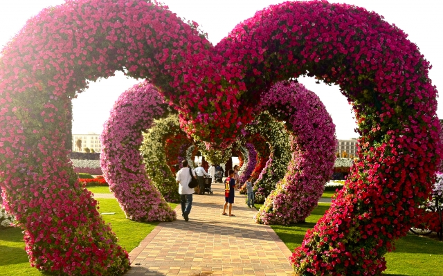 Dubai Miracle Garden