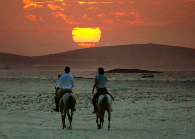 mushrif horse riding dubai