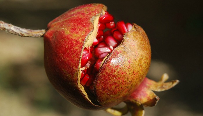 Benefits of Pomegranate juice