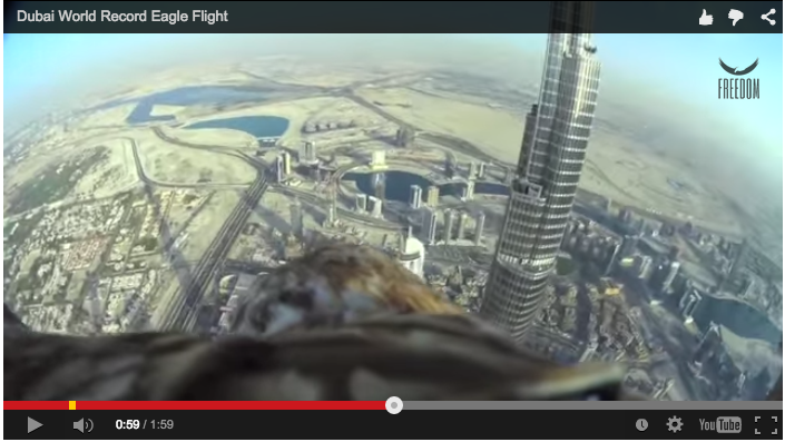 Dubai World Record Eagle Flight