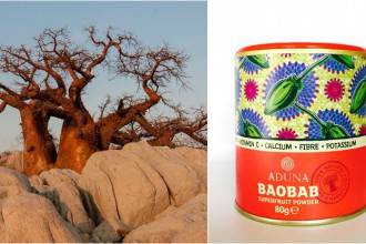 baobab powder