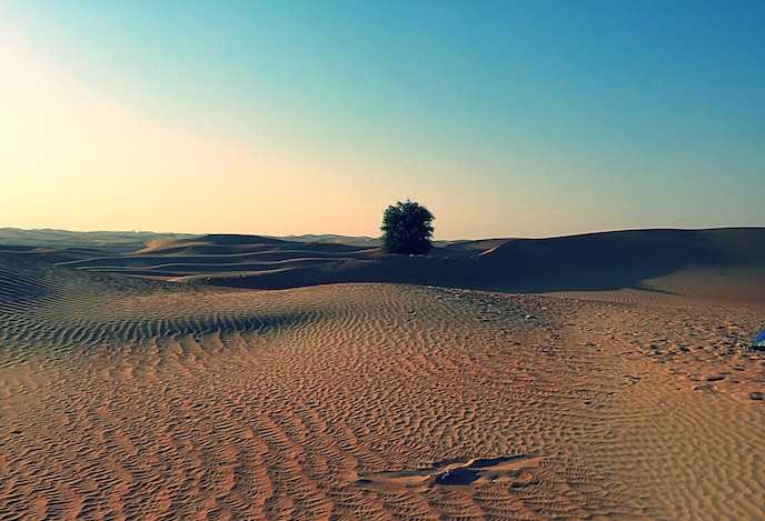 DESERT AL FAQA5