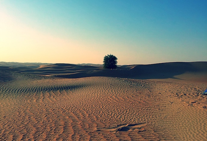 DESERT AL FAQA5