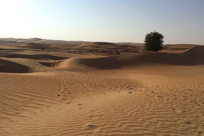 Camping in the desert