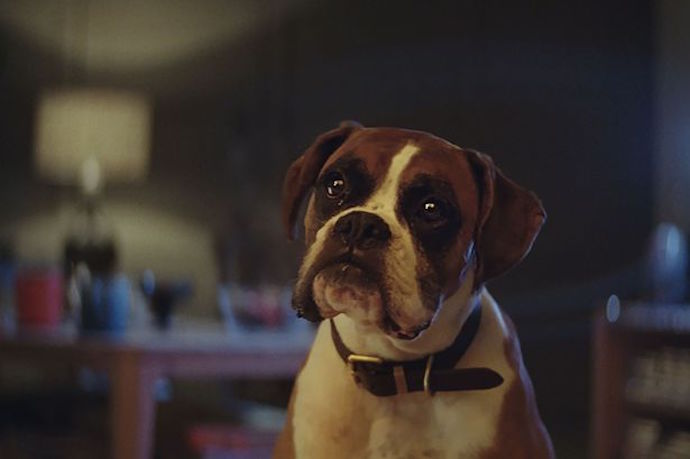 John Lewis Christmas Advert 2016