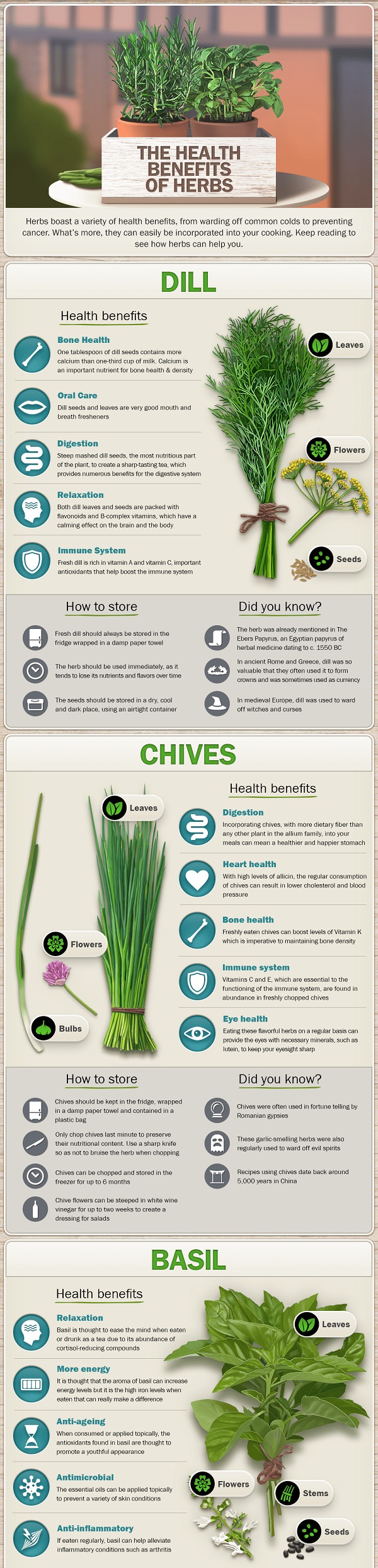 Infographic about the health benefits of herbs