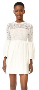 Endless Rose Lace Mini Dress