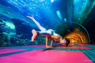 Underwater yoga retreat in dubai