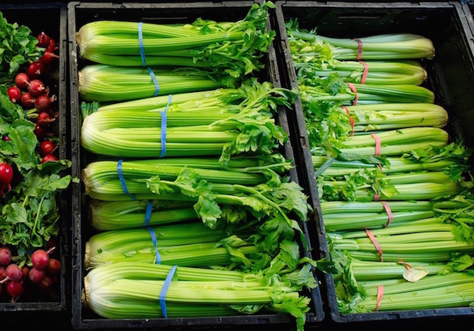 Fresh Celery